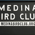 Medina Bird Club Montville Duchek 2141